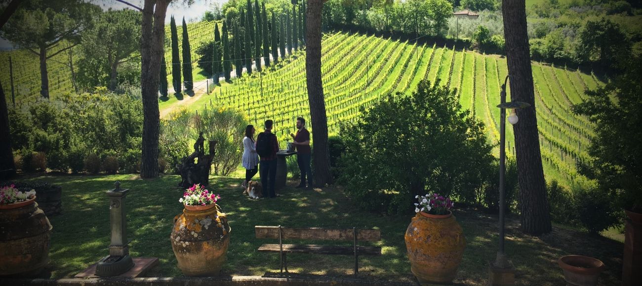 San Gimignano winery tour - San Gimignano Wine Tour