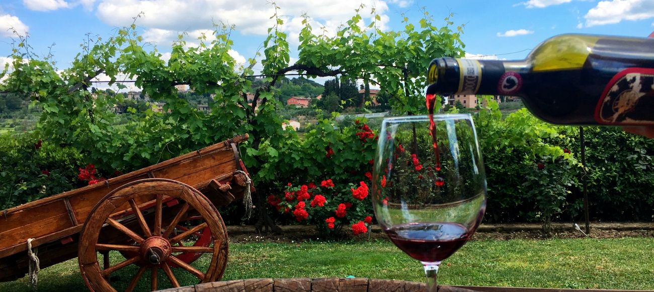 Vernaccia of San Gimignano and Chianti wine tasting - San Gimignano Wine Tour