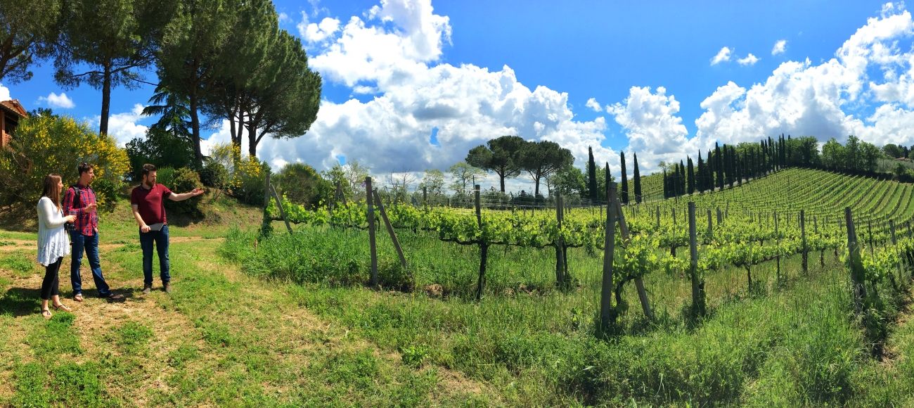 Vernaccia di San Gimignano wine tasting experience - San Gimignano and Chianti Wine tour - Toursintuscany.com
