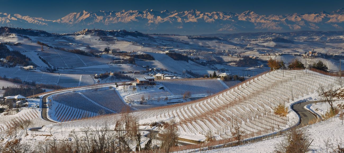 italian alps from le langhe view - Toursintuscany tour of Barolo Wine tour and Truffle Hunting in Piedmont
